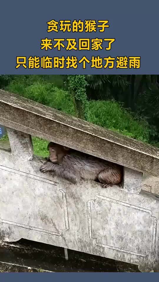 如何找到合适的避雨地点？ 1