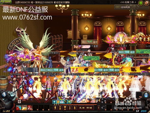 DNF公益服0762sf论坛最新游戏攻略 4