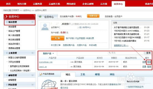 如何获取免费域名与空间申请指南 2