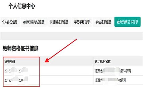 如何查询教师资格编号 3