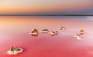 揭秘：水分与水份、盐分与盐份，这些常见词汇有何不同？ 1