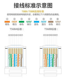 宽带网线水晶头接线步骤图解 3