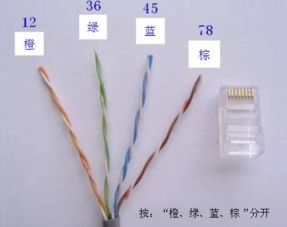 轻松学会：制作标准网线的详细步骤 3