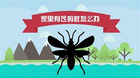 高效灭除飞蚂蚁：实用技巧大揭秘 2