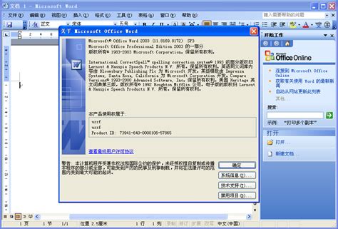 如何下载并安装Microsoft Office 2003破解版？ 2