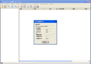 FinalData 3.0 汉化版：注册码使用方法指南 4