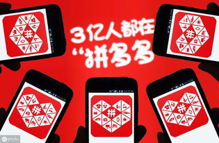 如何入驻并成为拼多多平台商家 1