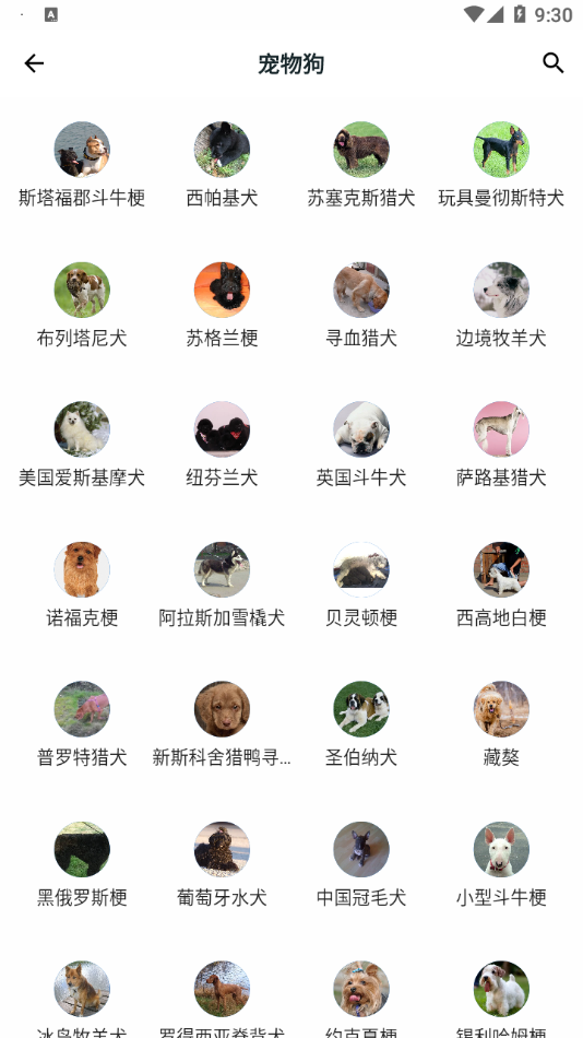 动植物大全 1