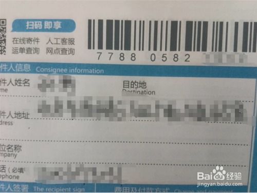 中通快递单号一键查询物流信息 1