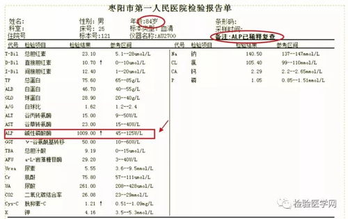 揭秘：碱性磷酸酶偏高的背后，可能隐藏的几大原因！ 2