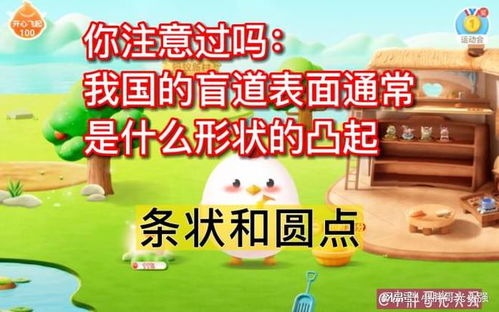 我国蚂蚁庄园盲道表面的凸起形状是什么 1