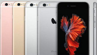 iPhone 6s内存告急？一键解锁苹果手机扩容秘籍！ 4