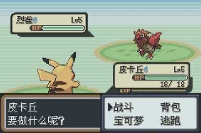 口袋妖怪圣灰汉化版 截图3