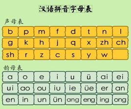 揭秘！正确发拼音'd'时，舌头应该安放何方，让你的发音更标准更动人 2