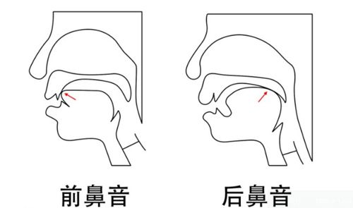 揭秘：26个英文字母中的前鼻音与后鼻音大不同！ 2