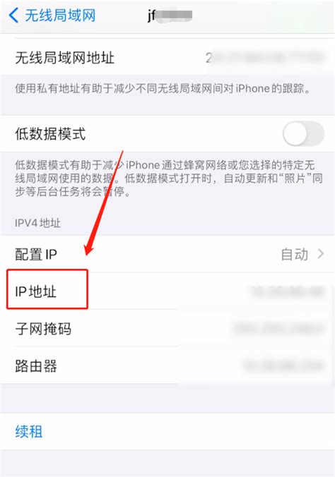 苹果手机如何查看哪些APP在使用无线局域网？ 2