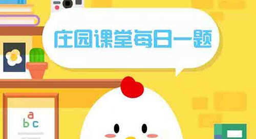 蚂蚁庄园假期美食指南：哪种饮食习惯更益健康 2