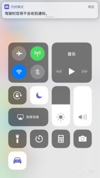 苹果手机如何开启纯净模式，远离不良信息 2