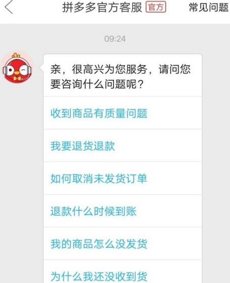 如何有效联系拼多多官方客服解决问题？ 3
