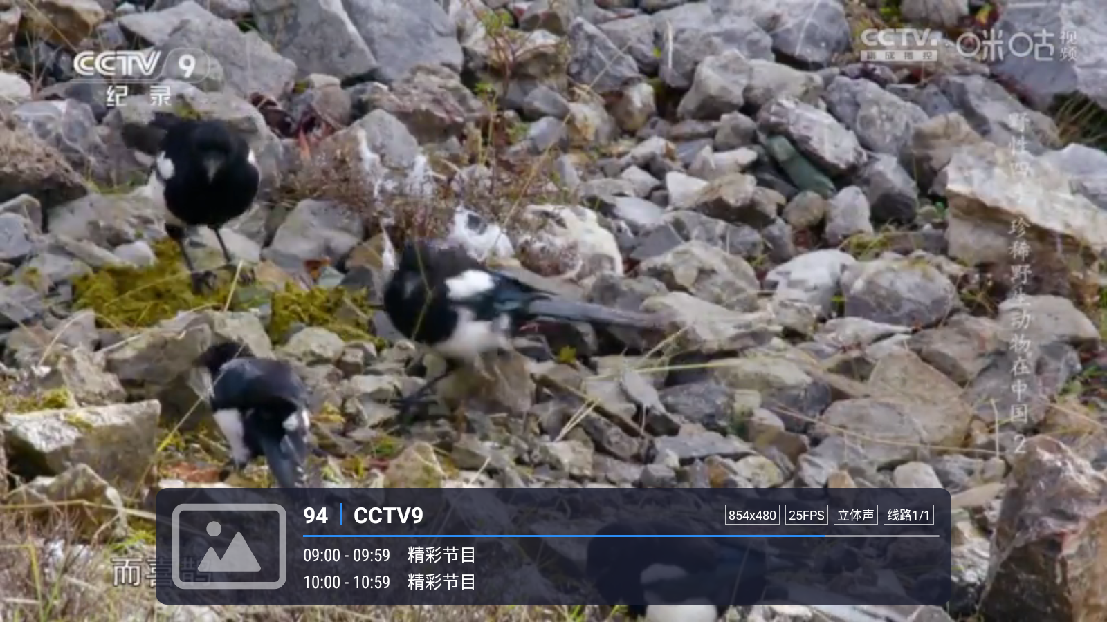 嘉庆TV免费版 截图2