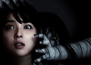 《咒怨》系列：全面揭秘，究竟有几部惊悚之作？ 1