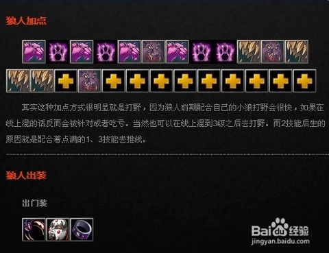 DOTA2狼人装备搭配与技能加点攻略：[20级参考] 2