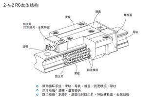 揭秘：RG与HG的惊人差异，你真的了解吗？ 2