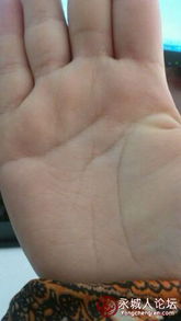 如何通过手相来预测命运？ 3