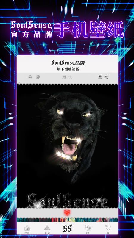SoulSense 截图3