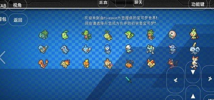 宝可梦世界王国澪 截图3