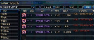 DNF玩家必看：如何在拍卖行高效搜索宠物宝珠？ 2