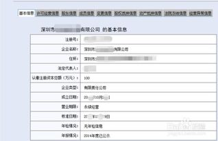 如何在深圳查询公司注册信息？ 2