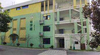 康梧路上南路：揭秘新建小学的神秘名称 4