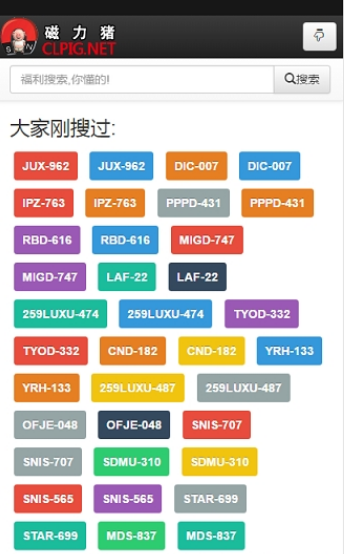 磁力猪BT 1