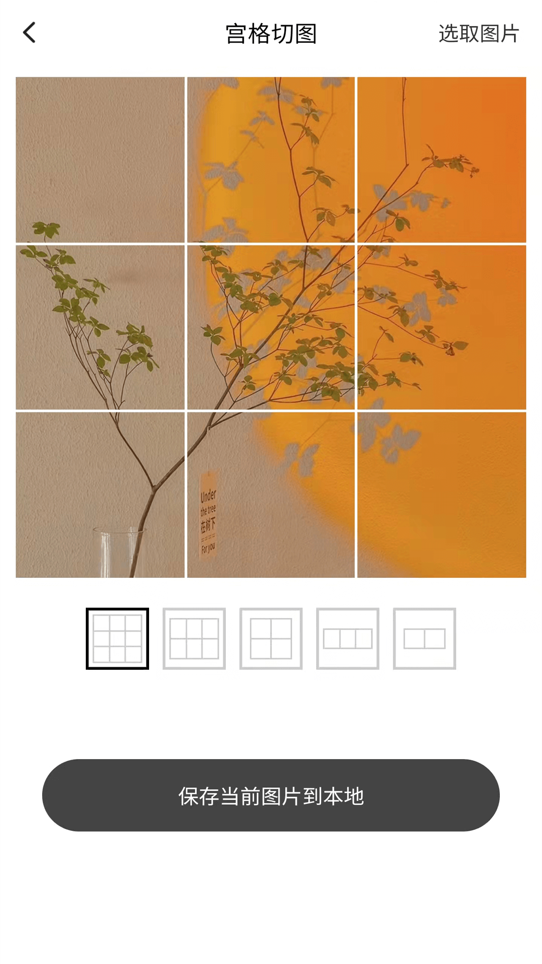 兔子下载 截图2