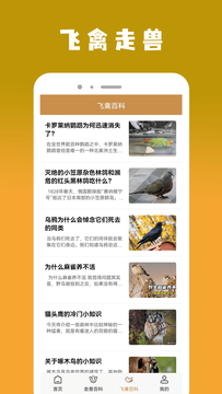 飞禽大全app 截图4