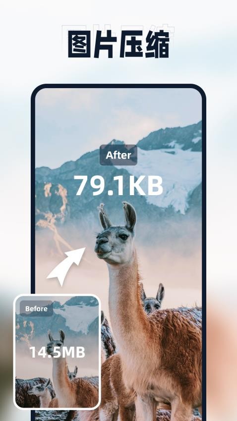 迅捷压缩 截图4