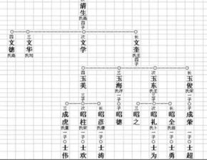 四种常见的家谱制作格式概览 1