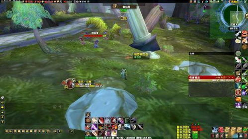 魔兽怀旧服高效采药指南 2