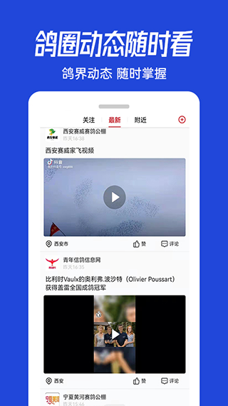 青鸽网 截图2