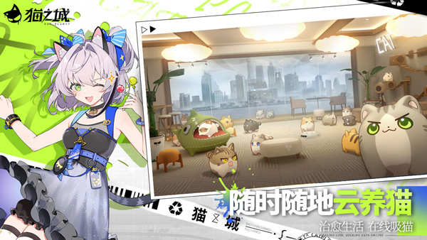 猫之城2.2.6版 截图5