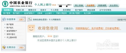 如何在网上查询农业银行账户信息？ 1