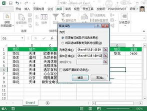 Excel筛选技巧：轻松掌握筛选数据的方法 3