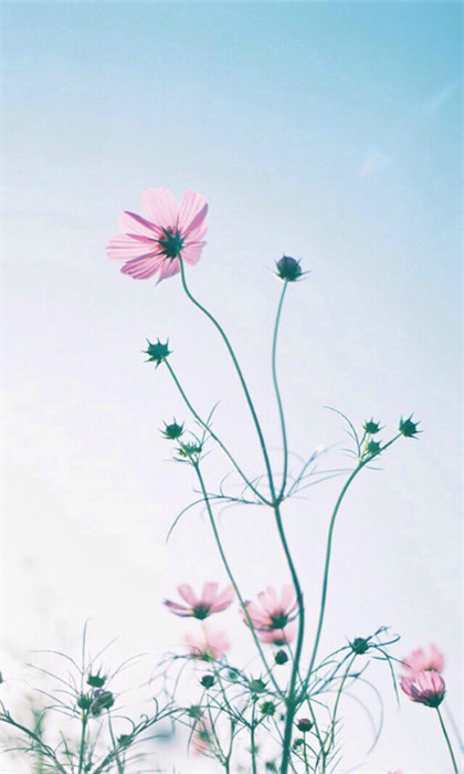 人人易学摄影app 截图3