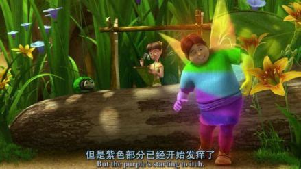 《小叮当：揭秘羽翼之奇》 5
