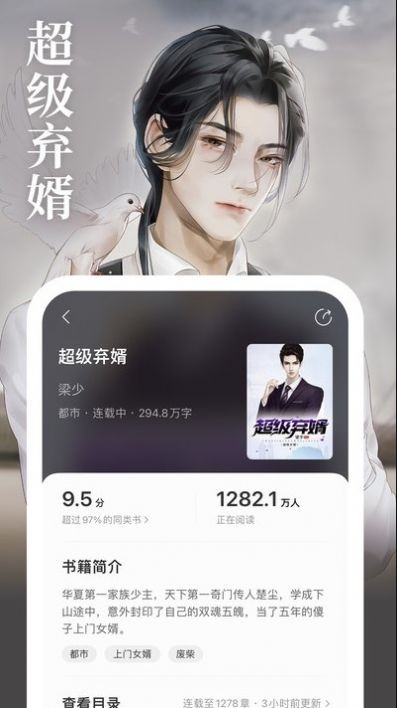 琅阅小说 截图3
