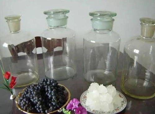 自制葡萄酒：一步步打造你的私人佳酿 1