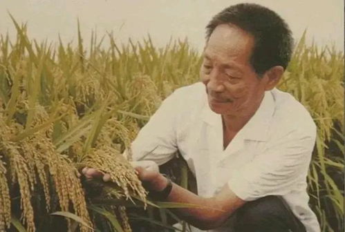 袁隆平逝世的原因 4