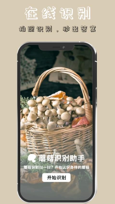蘑菇识别高手app 截图3