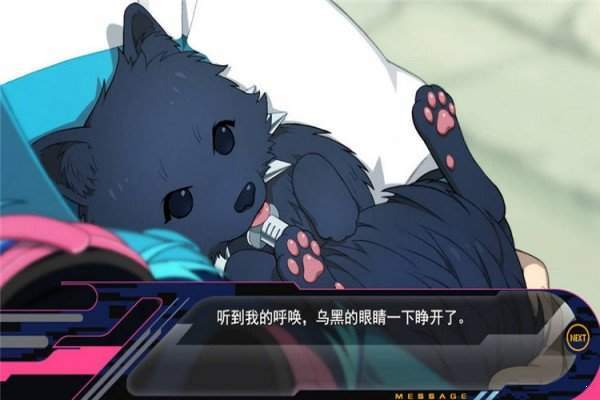 dmmd 截图3